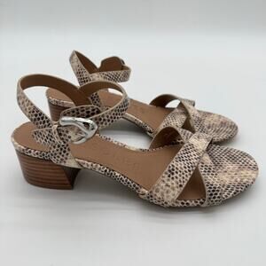 Aerosoles Comfort Casual Sandals Roccia Printed Snake Faux Leather NWOB 7